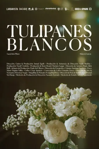 White tulips (2025)