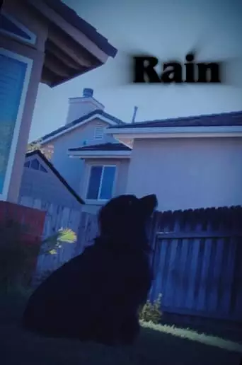 Rain (2023)