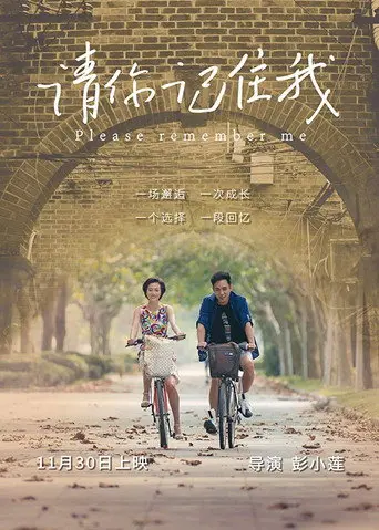 Please Remember Me (2017)
