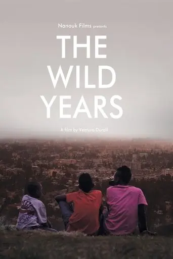 The Wild Years (2013)