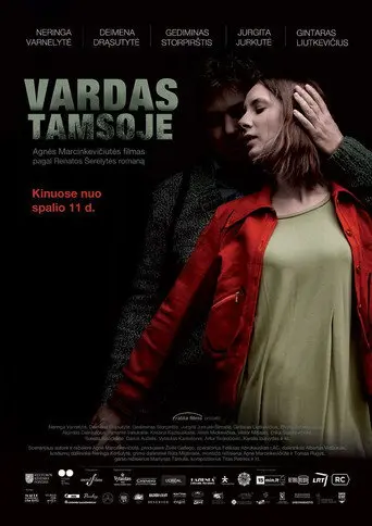 Name in the Dark (2013)