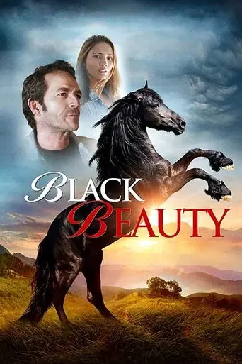 Black Beauty (2015)