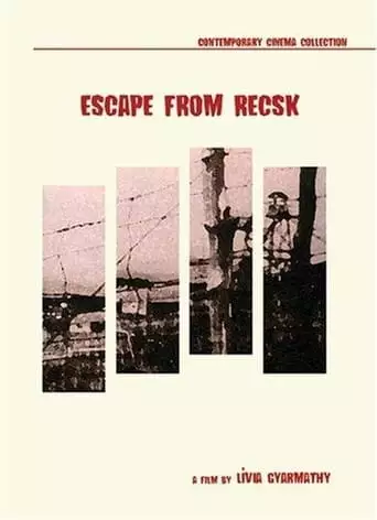 Szokes (1997)