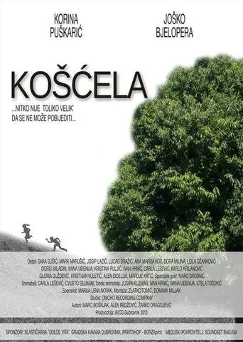 Koscela (2013)