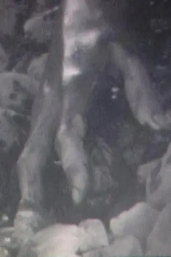 Broken Flesh Ecstasy (2005)