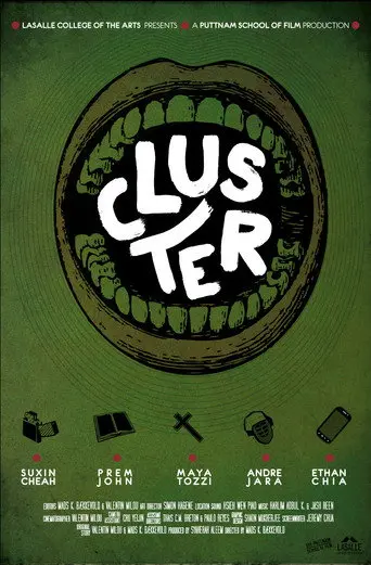 Cluster (2012)
