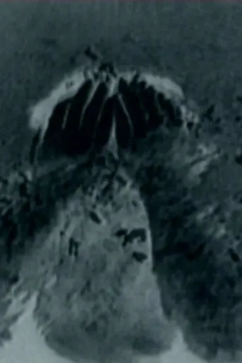 Senza foce (1997)