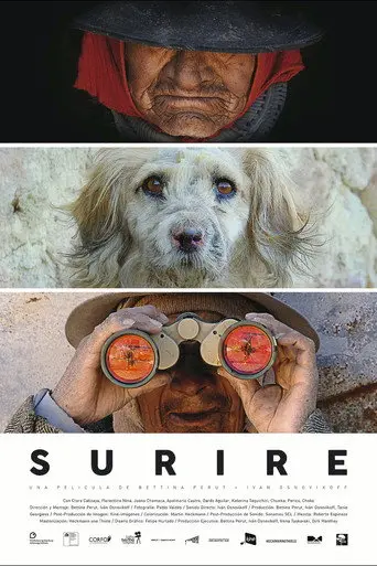 Surire (2015)