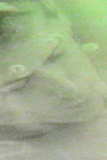 Finally Destroy Us (1991)