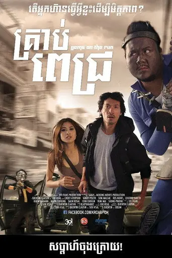 Gems on The Run (2013)