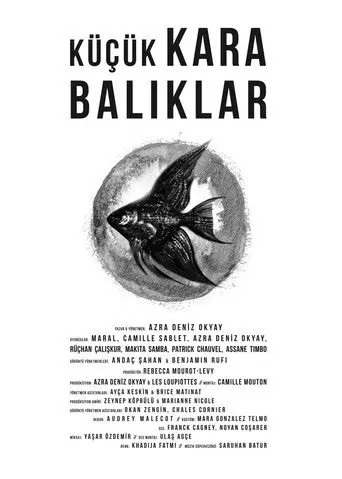 Little Black Fishes (2013)
