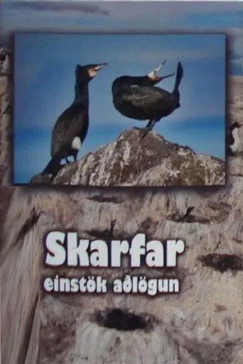 Skarfar (2010)