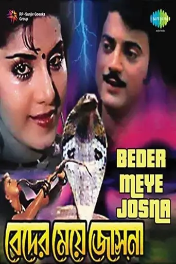 Beder Meye Josna (1991)