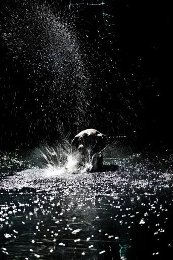 Hamlet (2010)
