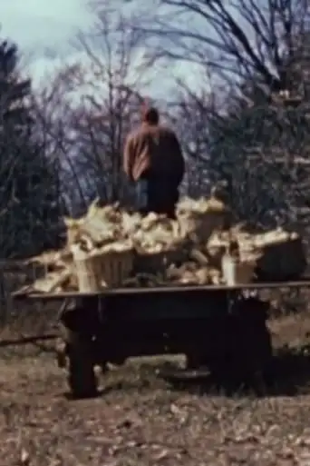 The Longhouse People (1951)