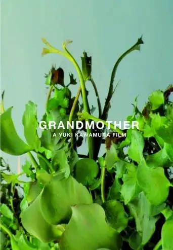 Grandmother (2010)