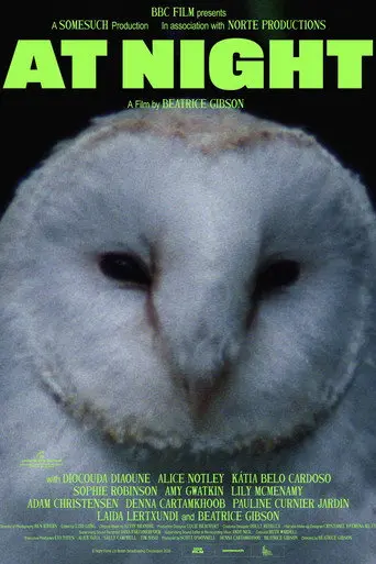 At Night (2026)
