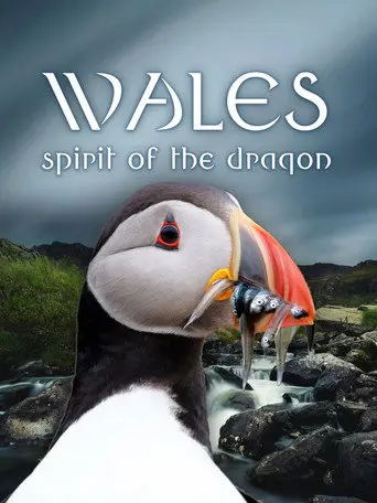 Wales: Spirit of the Dragon (2022)