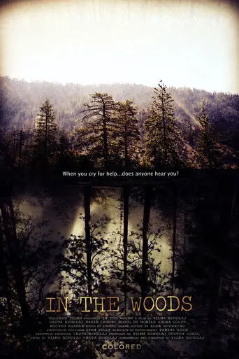 In the Woods (2010)