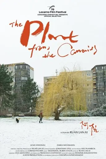 The Plant from the Canaries (2025)