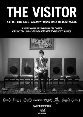 The Visitor (2013)