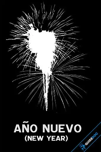 New Year (2010)