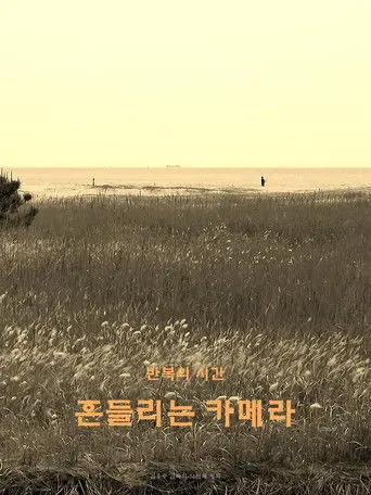 wandering camera (2020)