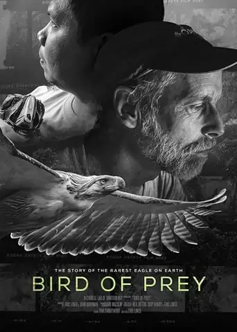 Bird Of Prey (2018)
