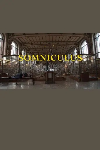 Somniculus (2017)