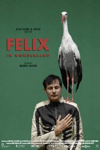 Felix In Wonderland (2019)
