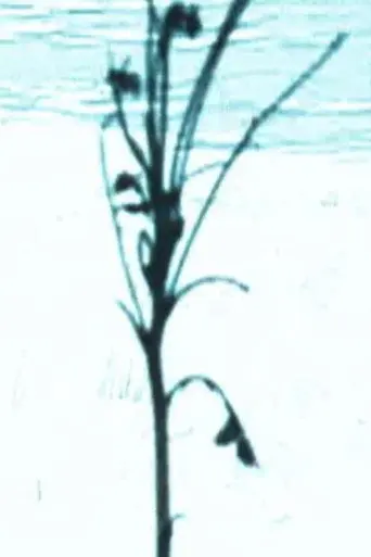 Scene H (2005)