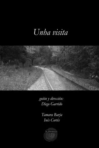 Unha visita (2017)