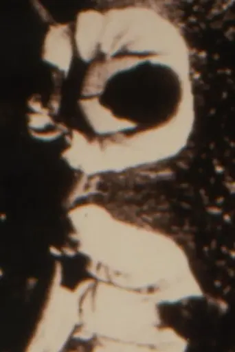Looting For Rodney (1995)