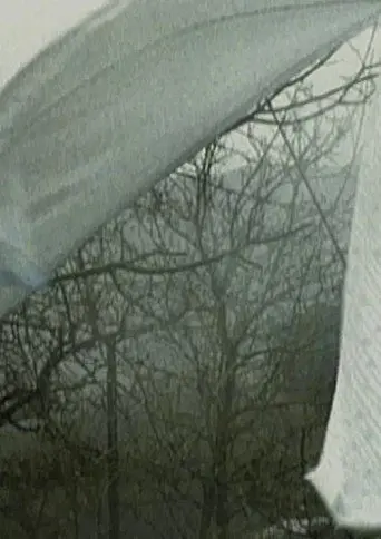 Panni (2005)