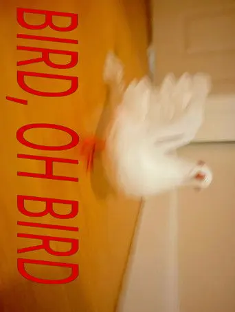 Bird, Oh Bird (2026)