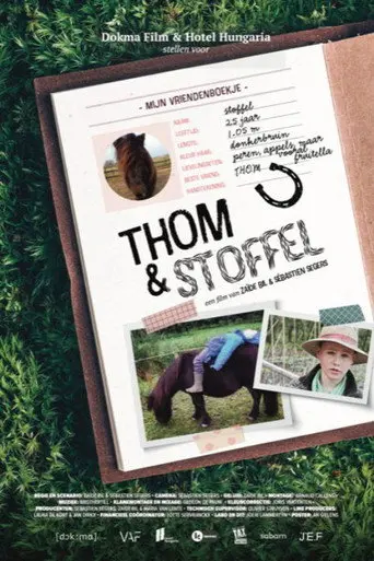 Thom & Stoffel (2021)