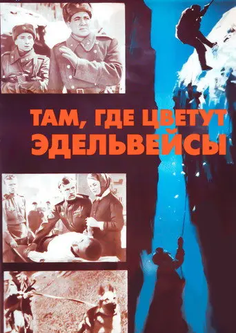 Where the Edelweiss Blooms (1965)