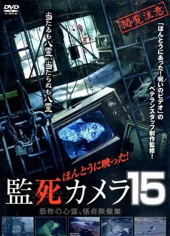Paranormal Surveillance Camera 15 (2016)