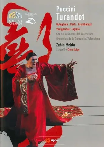 Turandot (2008)