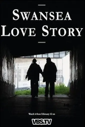 Swansea Love Story (2010)