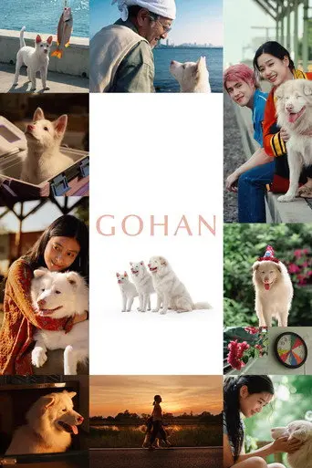 Gohan (2026)