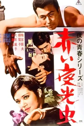Nocturnal Lights (1966)