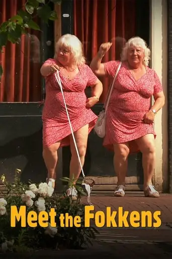 Meet the Fokkens (2011)