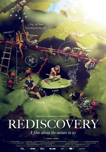 Rediscovery (2019)