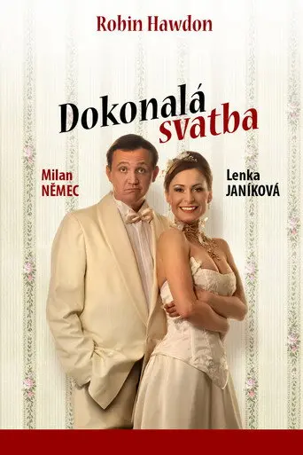Dokonalá svatba (2011)