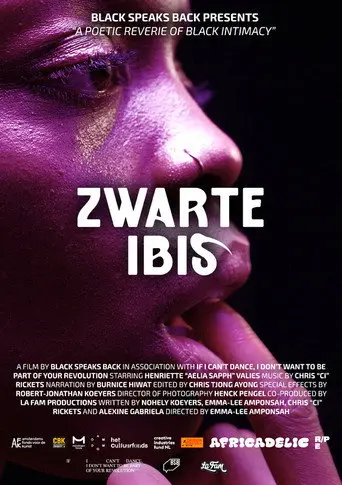Black Ibis (2024)