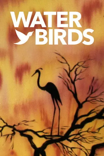 Water Birds (1952)