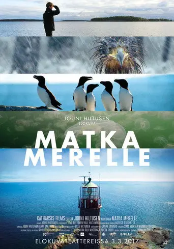 The Gulf of Finland (2017)