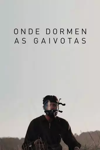 Onde Dormen As Gaivotas (2020)