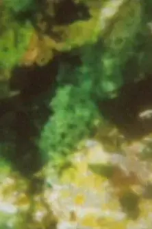 The Dog Star Man Has a Too Big Flaming Cock for the Sheba Queen (1991)